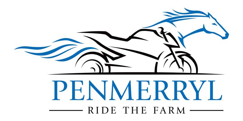 Penmerryl Logo Light Background scaled