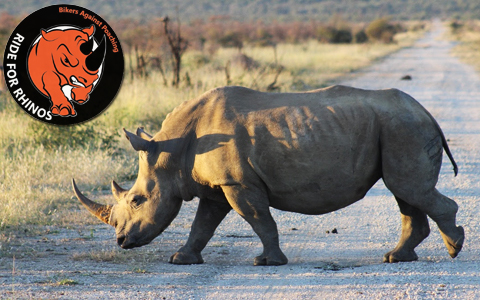 ride-for-rhinos-kaapstad